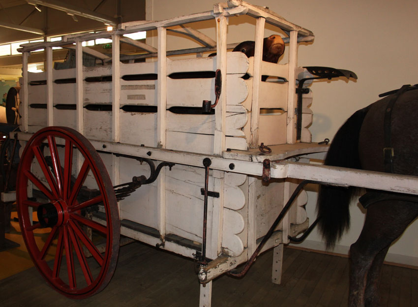 Taylor made Bullock Cart exhibited at Gressenhall Museum